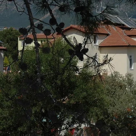 호텔 Tolay 올루데니스