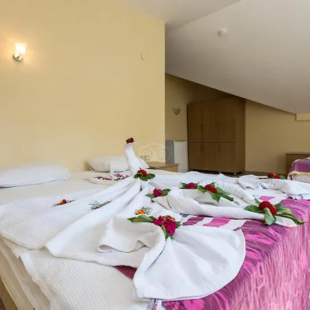 托利酒店 厄吕代尼兹