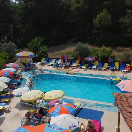 托利酒店 酒店 3*