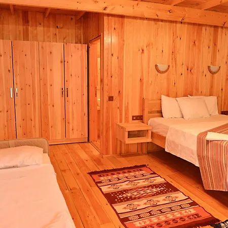 酒店 托利酒店 3*