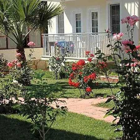 Tolay אולודניץ