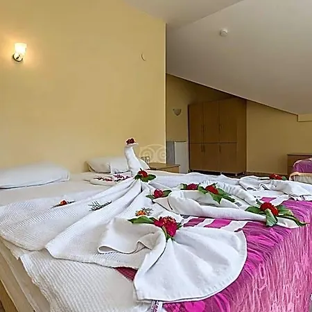 Tolay Otel 3*