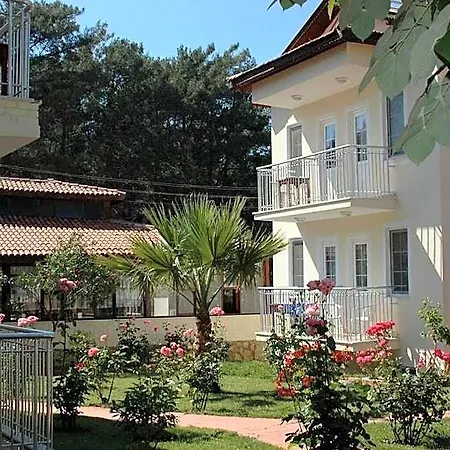 Tolay Hotel