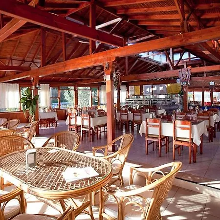 托利酒店 酒店 3*