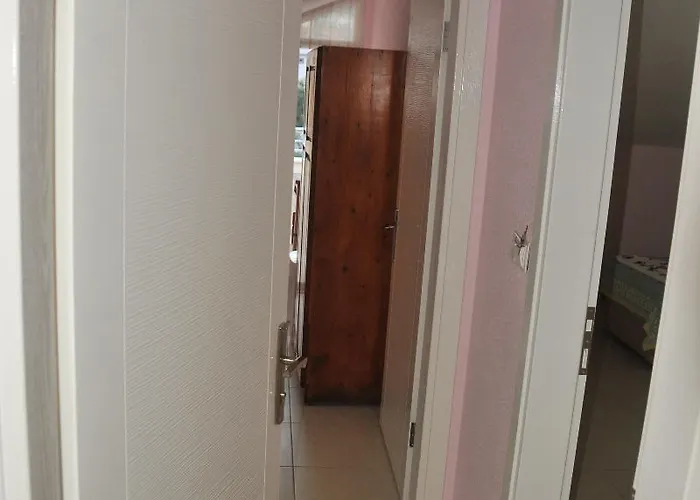 Szálloda Tolay 3*